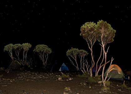 Telte med stjernehimmel på Kilimanjaro