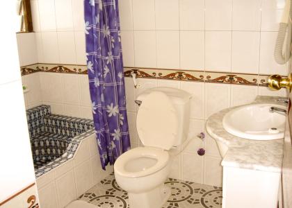 Bad og toilet på Tembo Hotel