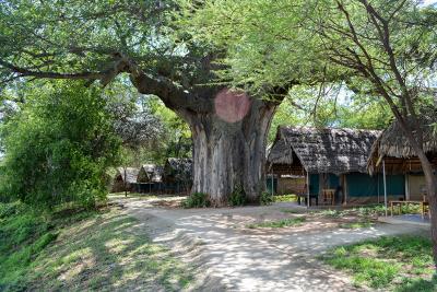 Luksusteltene ligger flot placeret mellem kæmpe baobautræer