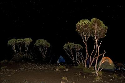 Telte med stjernehimmel på Kilimanjaro